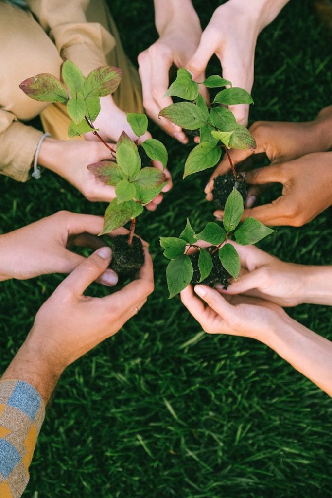 Group of diverse people planting tree saplings together, symbolizing sustainability and teamwork.